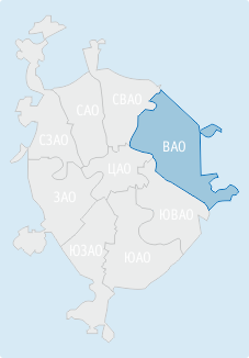 vao